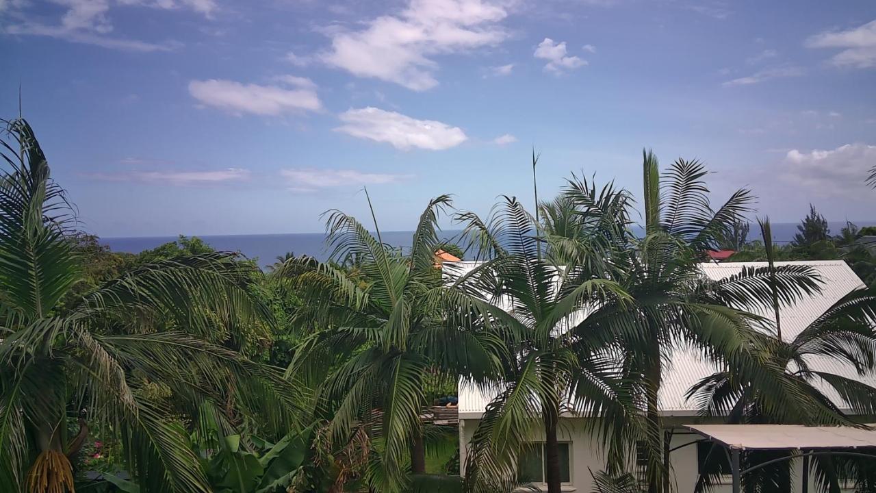 Un Petit Coin De Paradis A La Reunion Saint-Joseph Luaran gambar